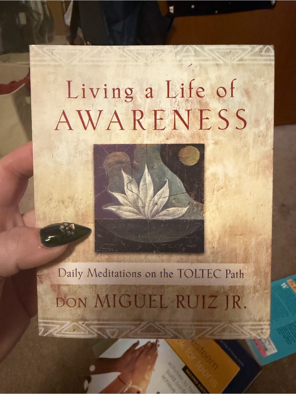 Living a Life of Awareness by - don miguel Ruiz jr soft cover